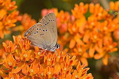 《双影奇境》总监心情复杂 希望击败《GTA6》获年度最佳