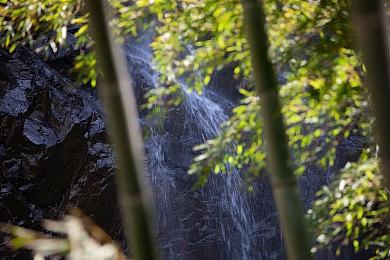 《电锯甜心RePOP》宣布9月25日发售 登陆多平台支持中文